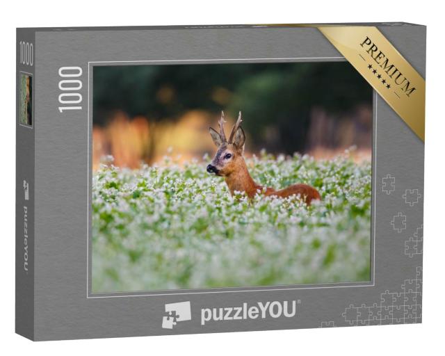 Puzzle 1000 Teile „Rehe in einem Blumenfeld“