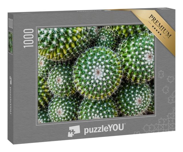Puzzle 1000 Teile „Nahaufnahme des Goldenen Tonnenkaktus aus Zentralmexiko“