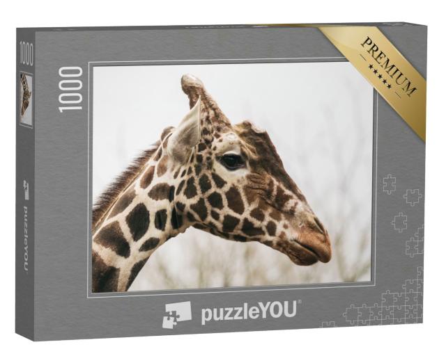 Puzzle 1000 Teile „Netzgiraffe, auch bekannt als Masai-Giraffe“