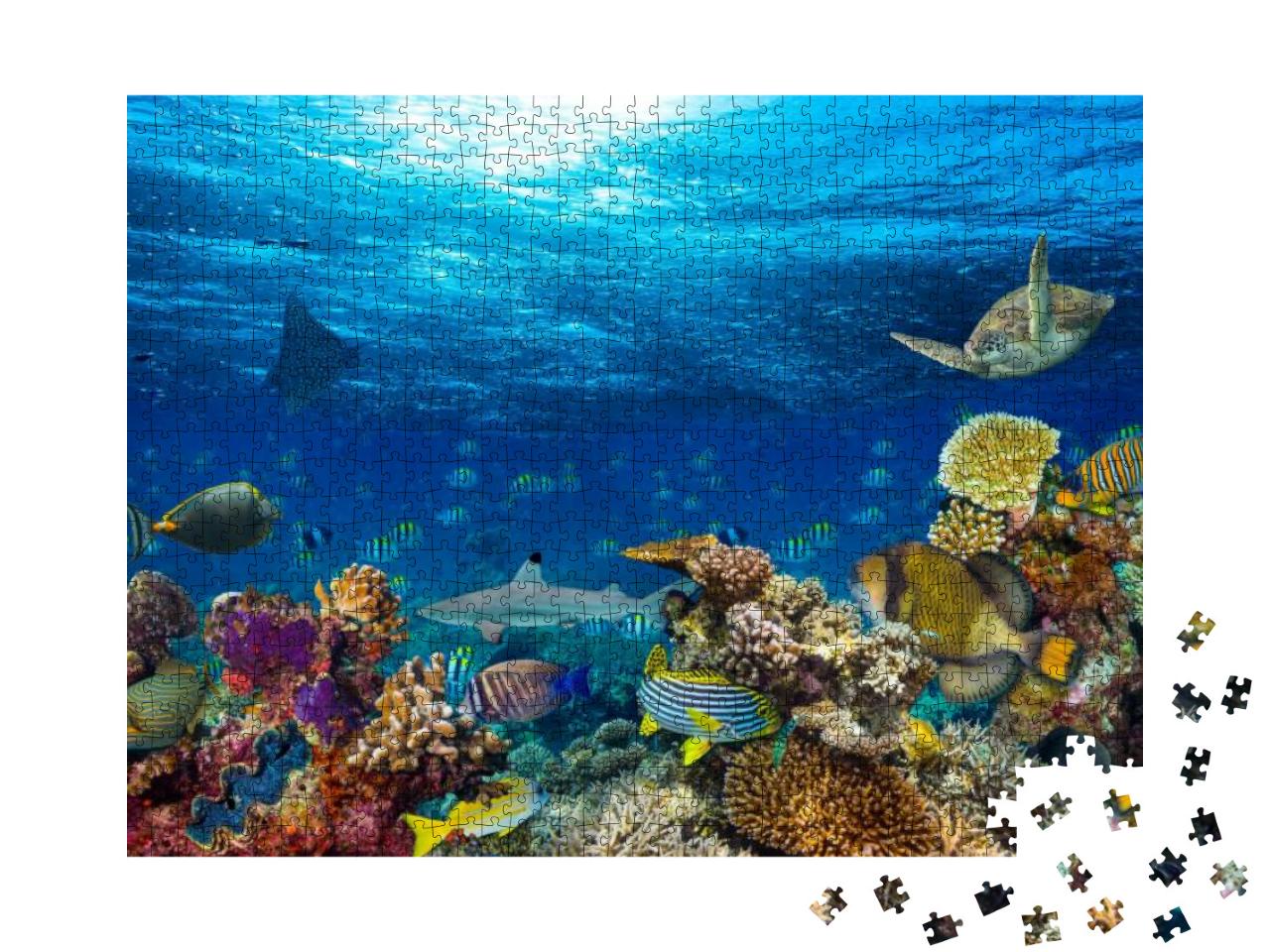 Puzzle 1000 Teile „Blauer Ozean und bunte Unterwasserwelt“