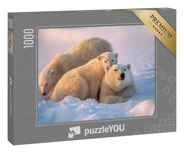 Puzzle 1000 Teile „Eisbärin mit ihren Jungen, die zusammen für Wärme und Schutz sorgen“