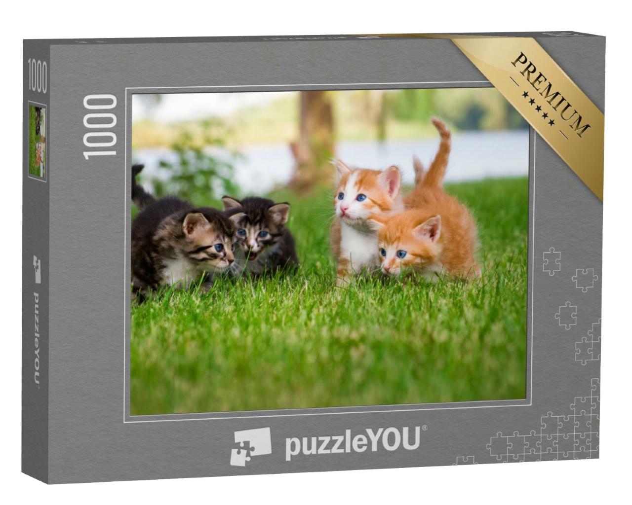 Puzzle 1000 Teile „Vier kleine Kätzchen im Garten“