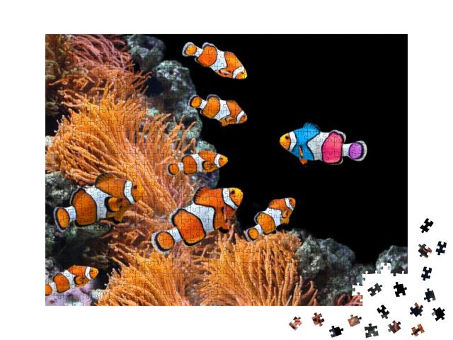 Puzzle 1000 Teile „Schwarm von Standard-Clownfischen und ein bunter Fisch: Sei du selbst!“