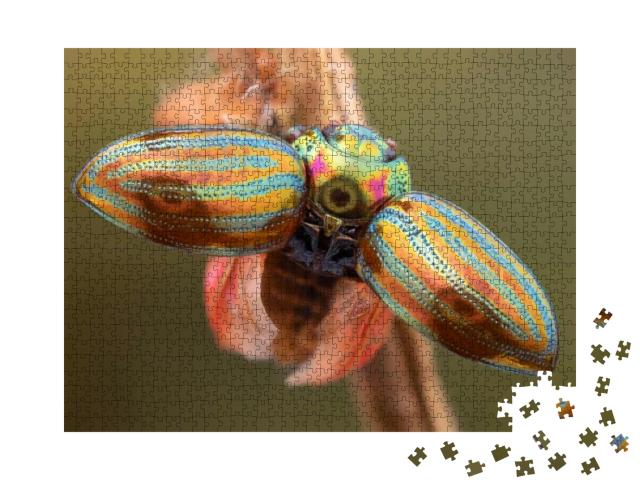 Puzzle 1000 Teile „Nahaufnahme eines Rosmarinkäfers mit weit geöffneten Flügeldecken“