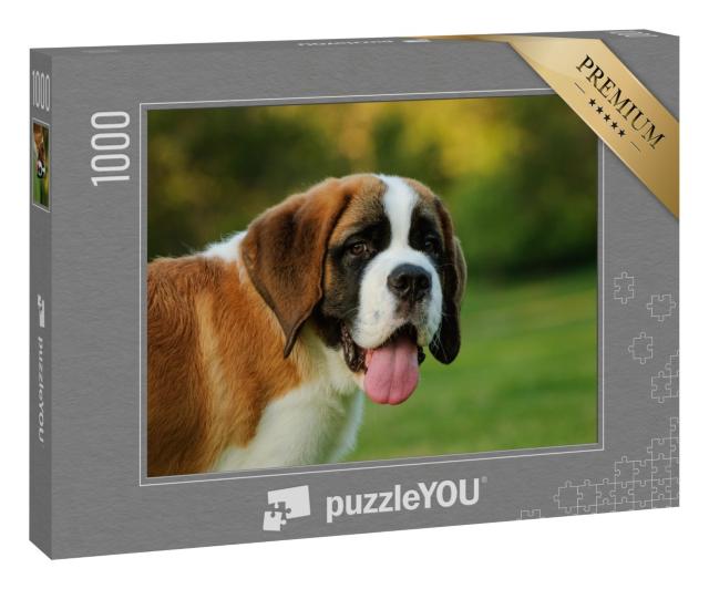 Puzzle 1000 Teile „Porträt eines Bernhardinerwelpen im Park“