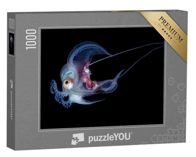 Puzzle 1000 Teile „Unterwasserfoto, blauer Oktopus, schwarzer Hintergrund“