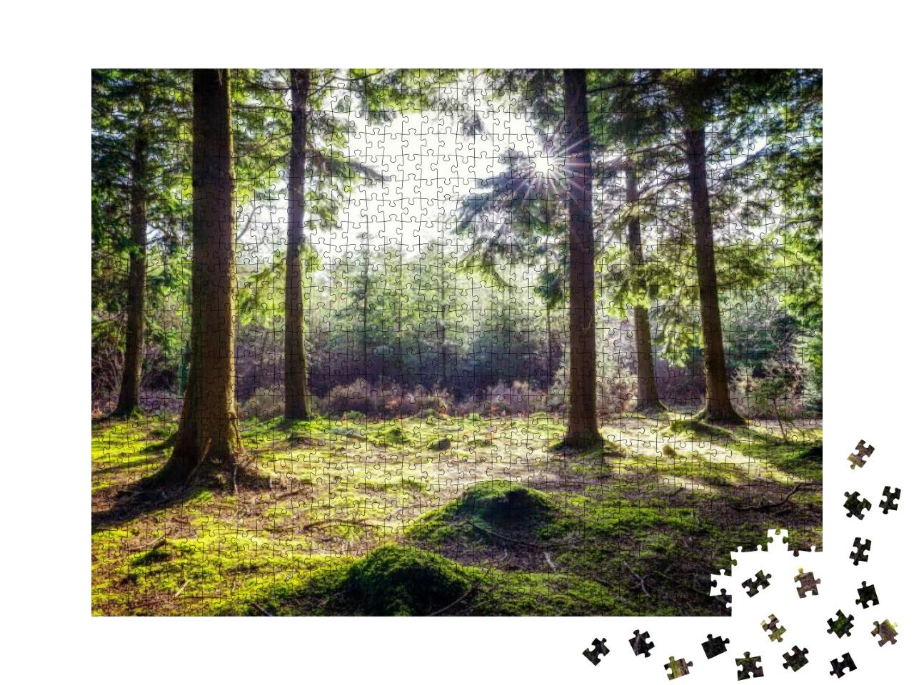 Puzzle 1000 Teile „Idyllischer Wald in Ladock, Cornwall, England, Großbritannien“