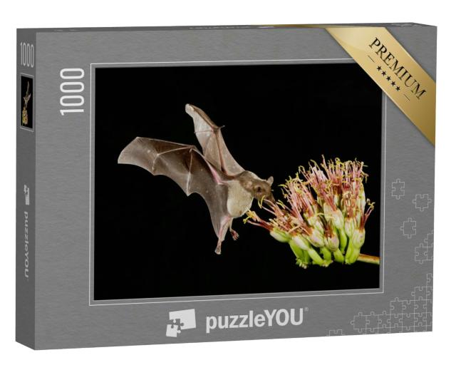 Puzzle 1000 Teile „Kleine Langnasenfledermaus im Flug um eine Agavenblüte“