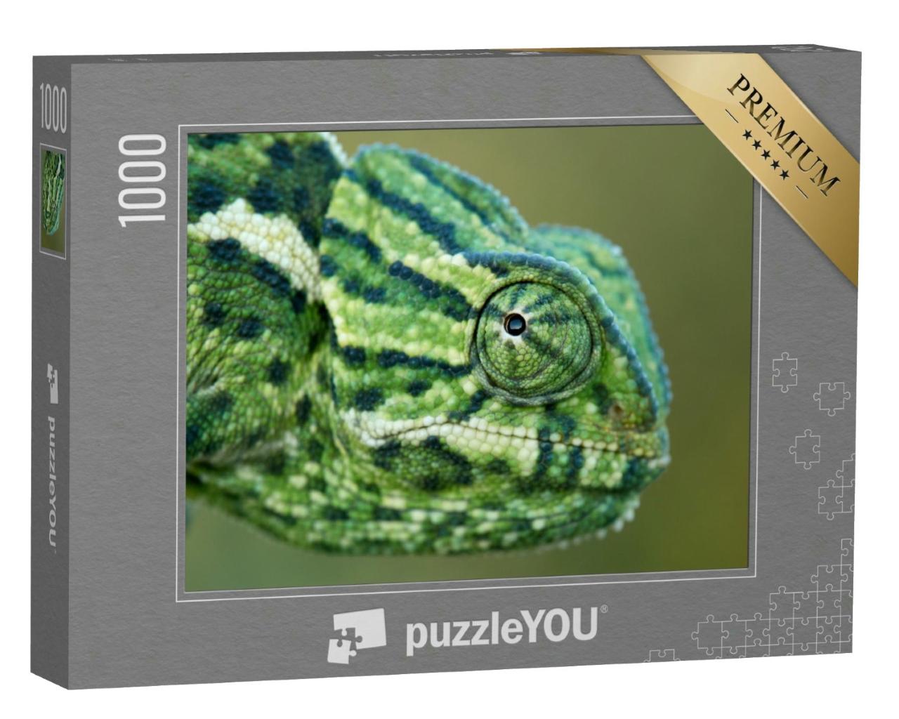 Puzzle 1000 Teile „Ein Chamäleon: natürliche Umgebung“
