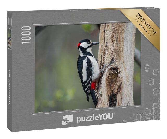 Puzzle 1000 Teile „Specht beim Klopfen am Baum“