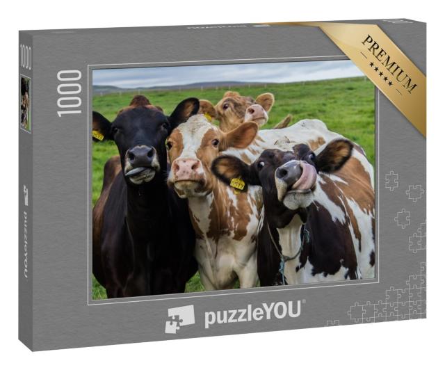 Puzzle 1000 Teile „Vier lustige Kühe schauen in die Kamera“