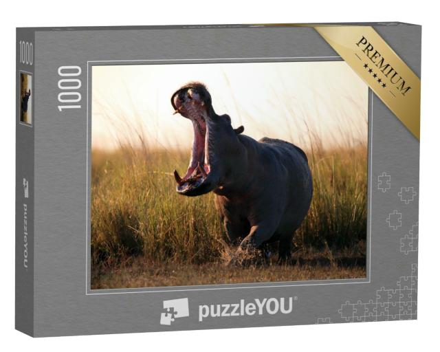 Puzzle 1000 Teile „Das Flusspferd, Hippopotamus amphibius“