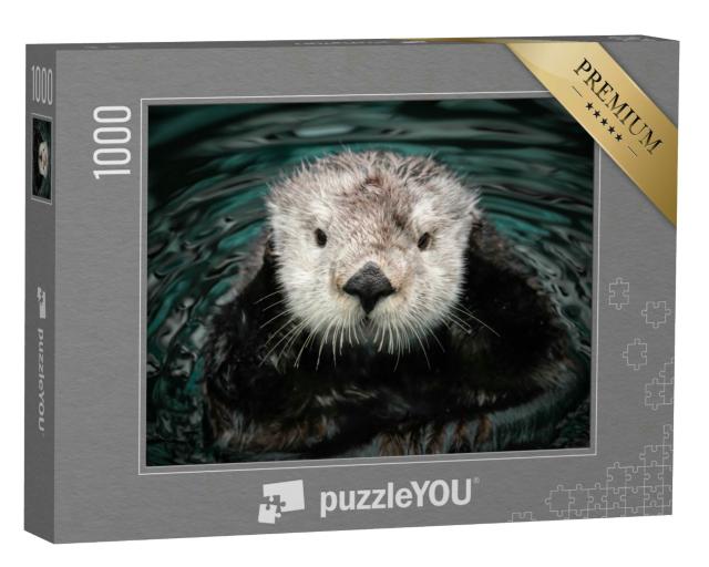 Puzzle 1000 Teile „Seeotter im Wasser“