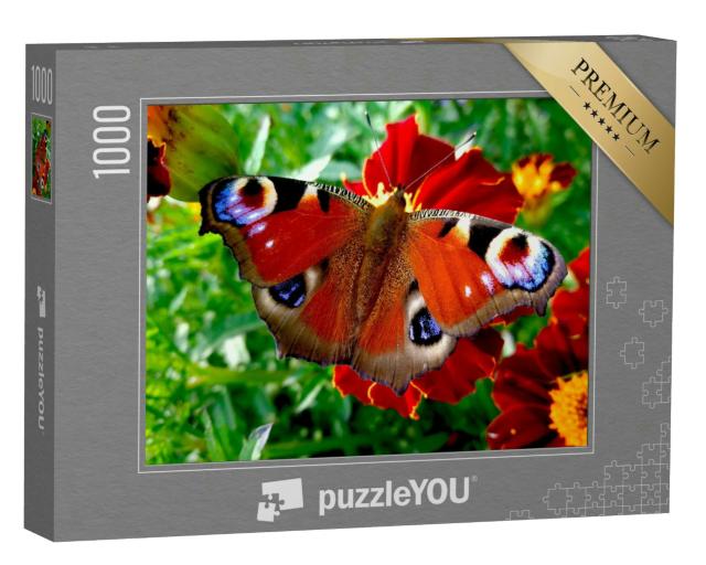 Puzzle 1000 Teile „Wunderschöner Schmetterling: Tagpfauenauge auf einer roten Blüte“