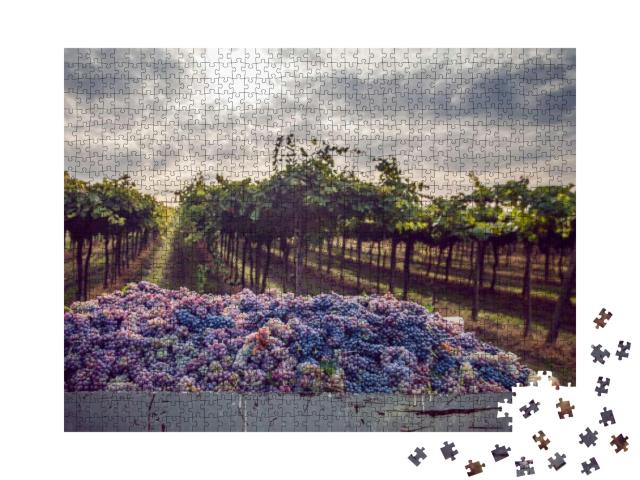 Puzzle 1000 Teile „Weinlese im Weinberg, gesammelte Trauben, bewölkter Himmel“