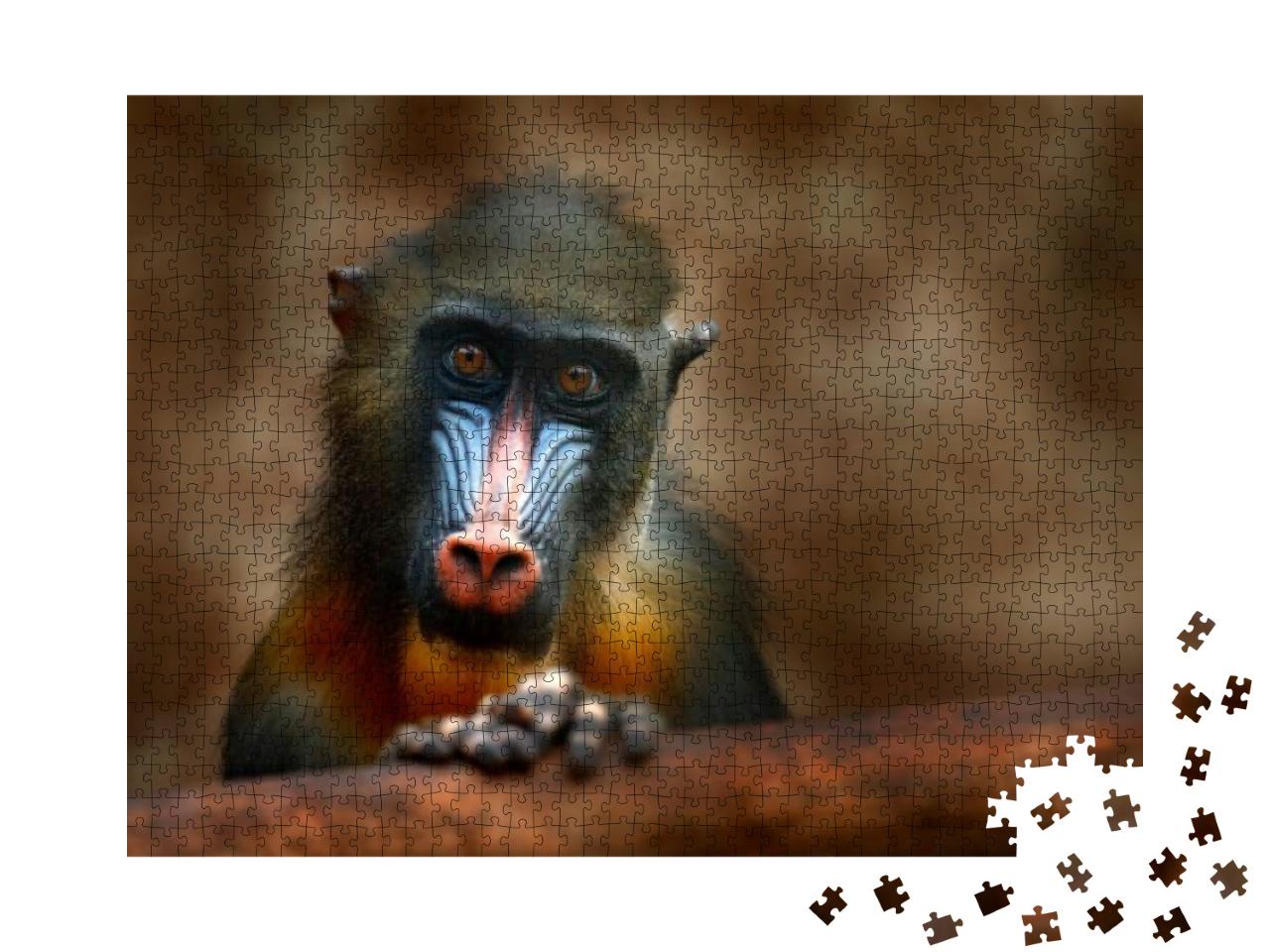 Puzzle 1000 Teile „Mandrill: Detailporträt eines Affen aus Zentralafrika“
