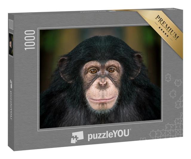 Puzzle 1000 Teile „Porträt von Schimpansen“