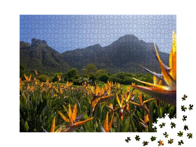 Puzzle 1000 Teile „Strelitzienblüten in den Kirstenbosch Gärten“
