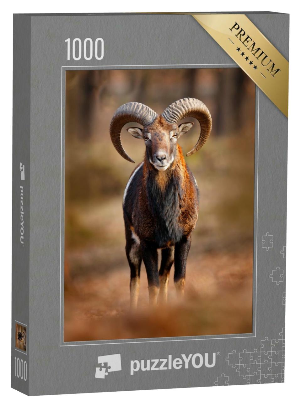 Puzzle 1000 Teile „Mufflon, Ovis orientalis, Säugetier mit großen Hörnern, Prag, Tschechische Republik“