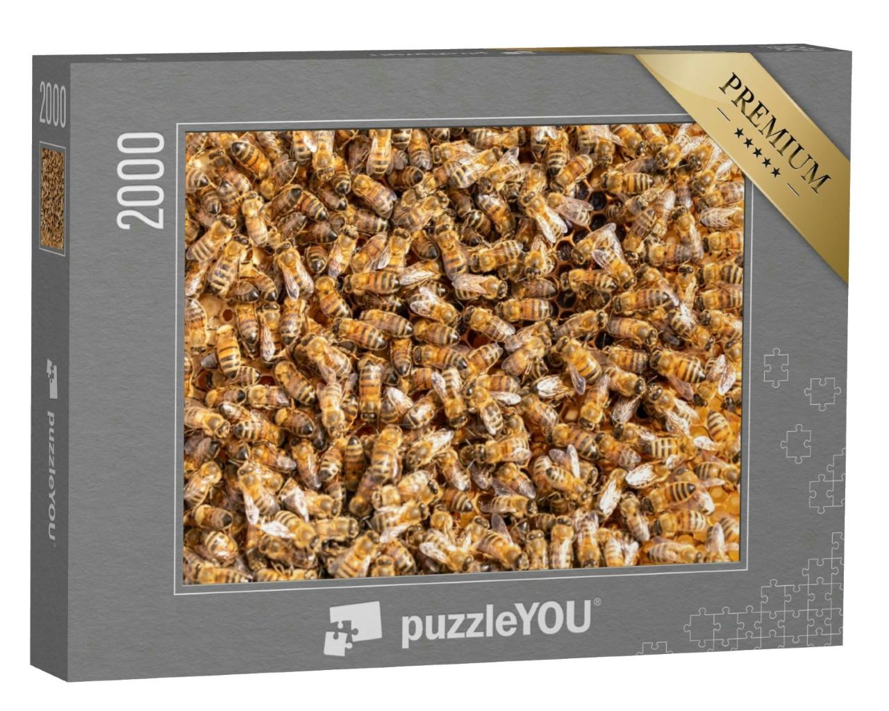 Puzzle 2000 Teile „Arbeitshonigbienen auf einem Rahmen aus einem Bienenstock“