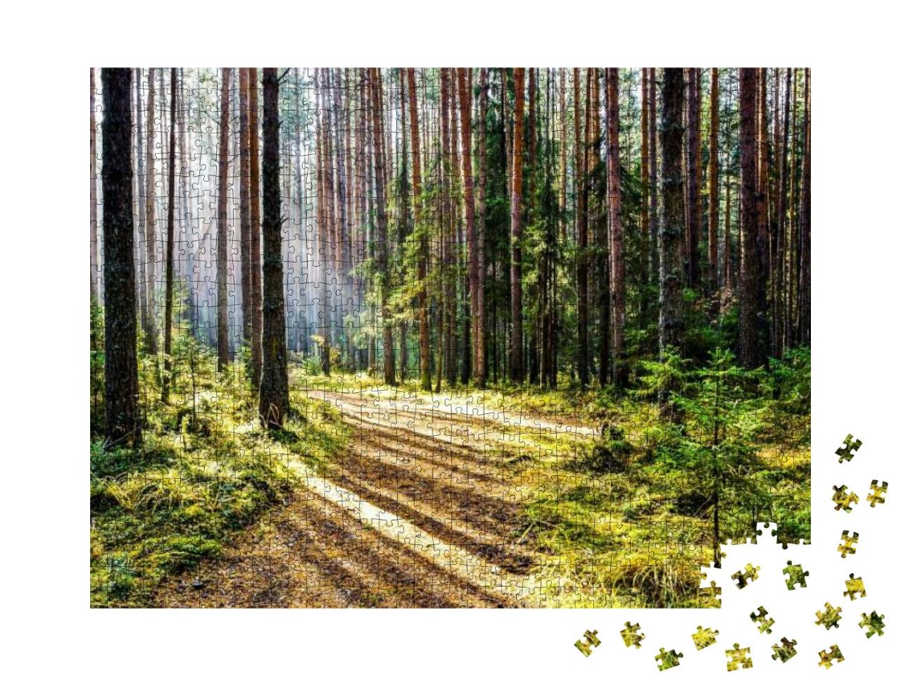 Puzzle 1000 Teile „Weg im tiefen Wald mit Sonnenstrahlen“