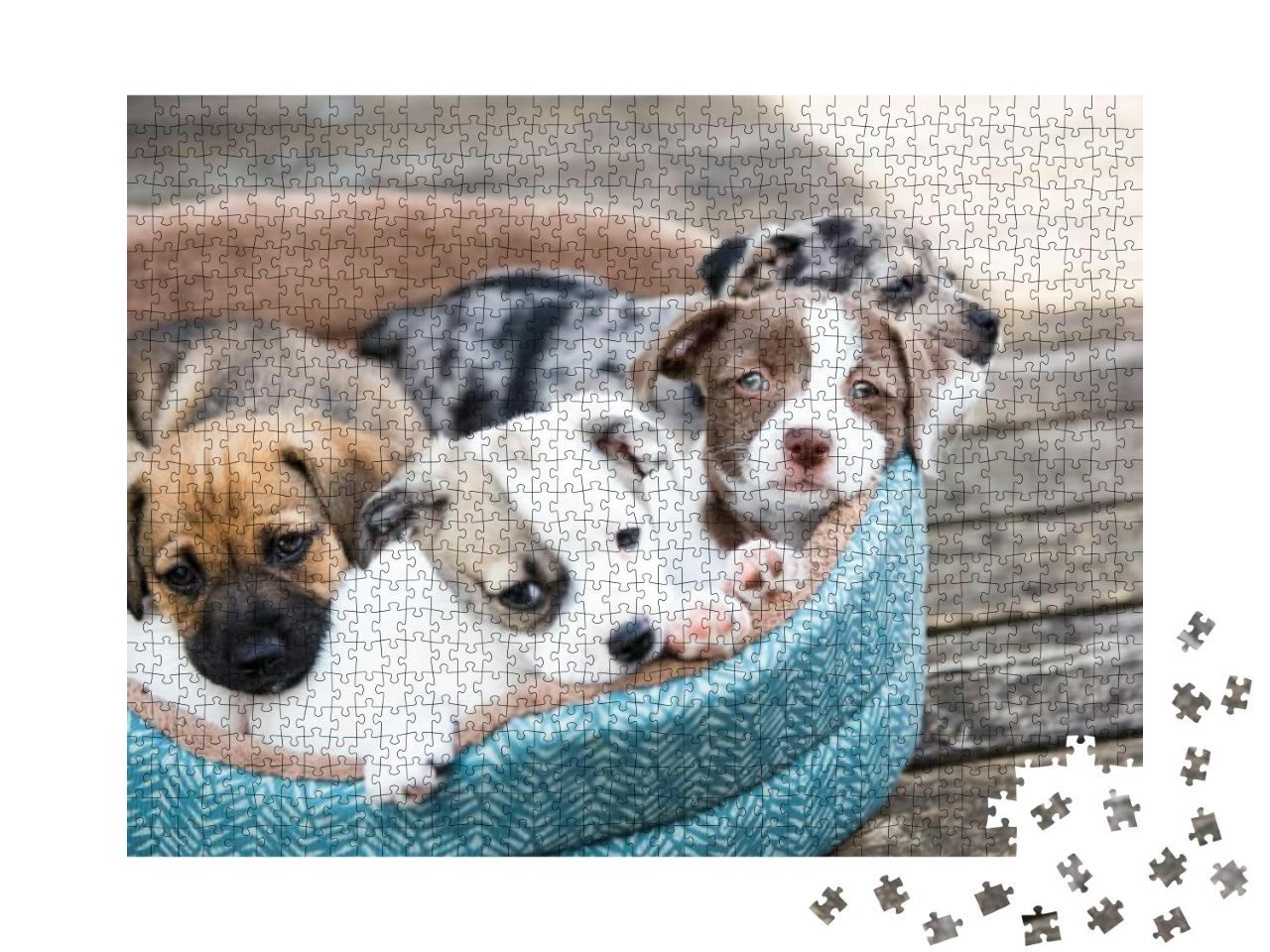 Puzzle 1000 Teile „Wurf von Terrier-Mix-Welpen, die im Hundebett draußen auf der Holzterrasse entspannen“