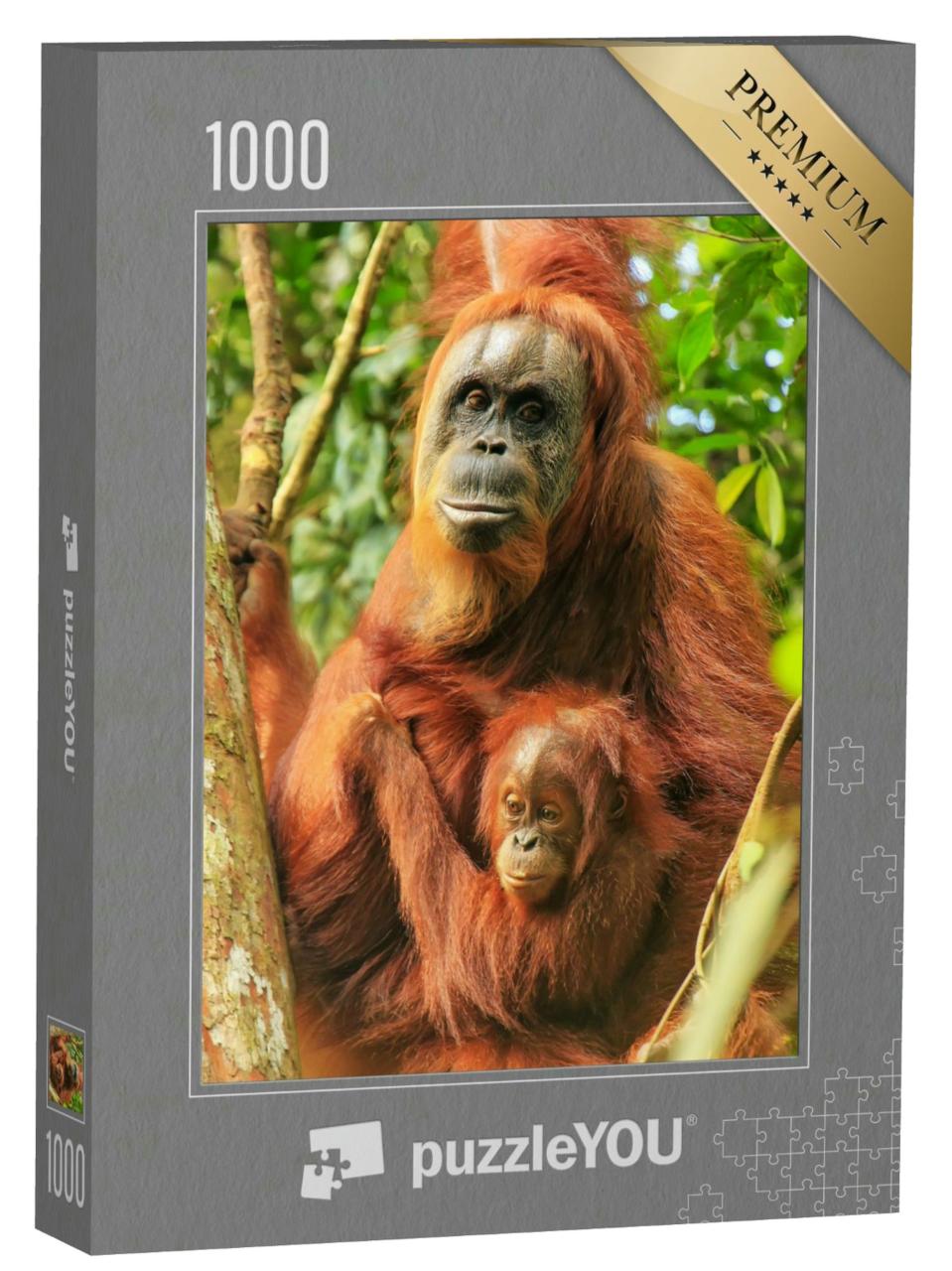 Puzzle 1000 Teile „Weiblicher Sumatra-Orang-Utan mit einem Baby auf einem Baum, Indonesien“