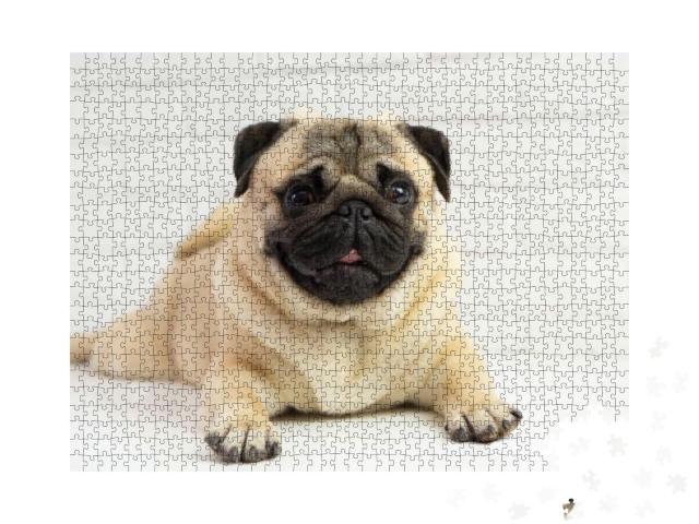 Puzzle 1000 Teile „Lustiger kleiner Mops“
