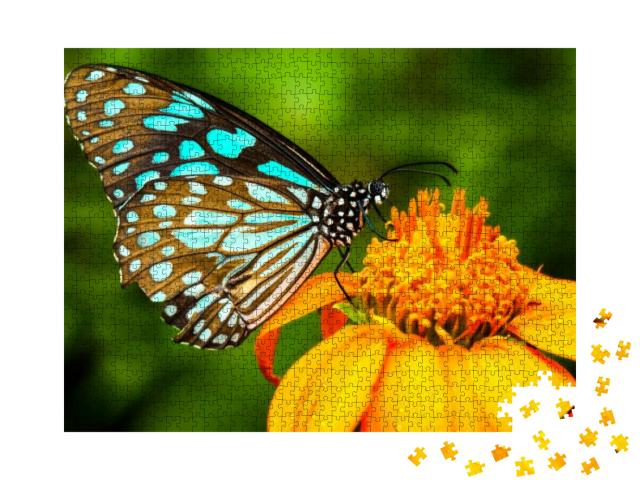 Puzzle 1000 Teile „Naturszene: blauer Schmetterling auf einer gelben Blüte“