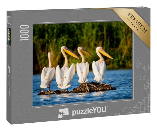 Puzzle 1000 Teile „Pelikankolonie am Donaudelta, Rumänien“
