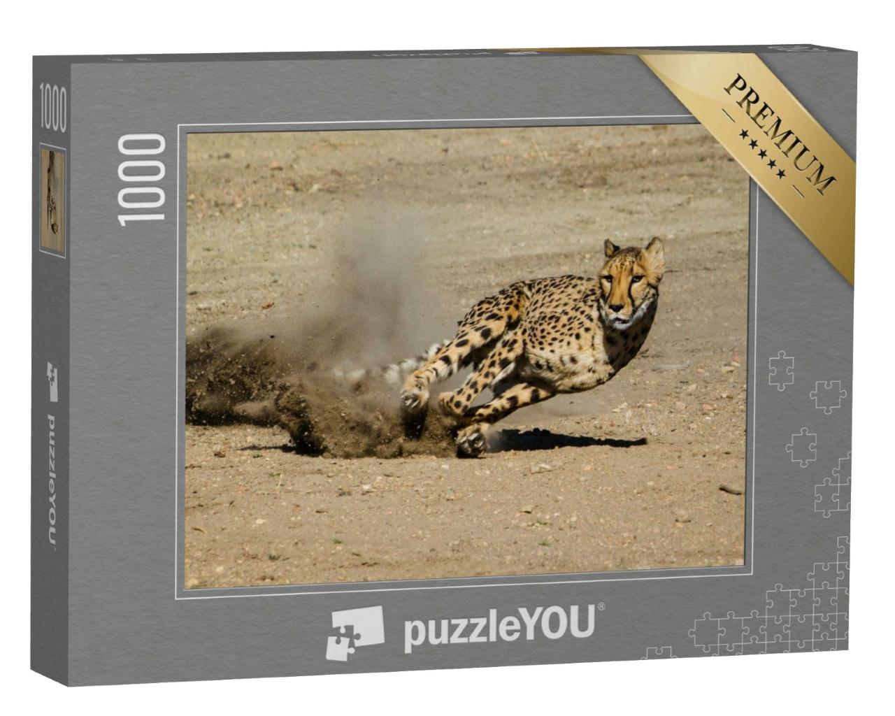 Puzzle 1000 Teile „Gepard: schnell und wendig“