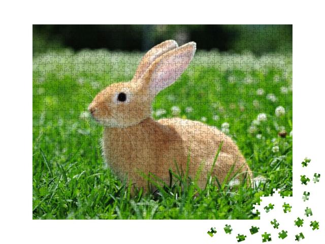 Puzzle 1000 Teile „Kaninchen in der Natur“
