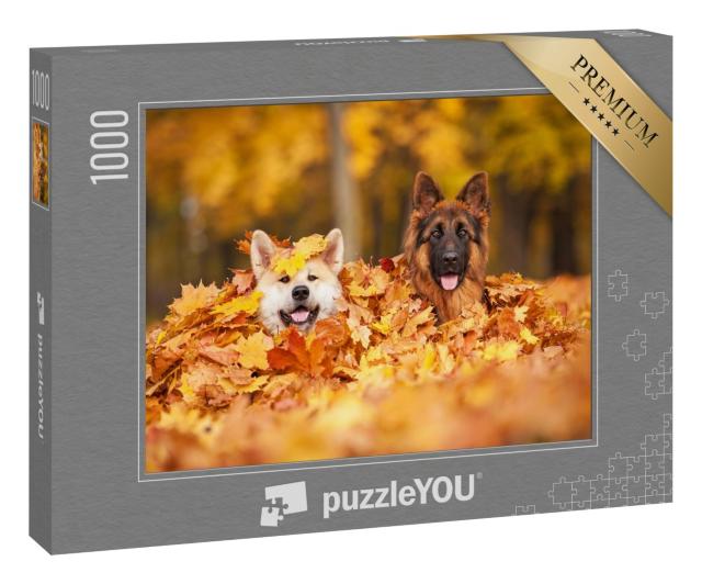 Puzzle 1000 Teile „Zwei Hunde spielen im Herbstlaub“