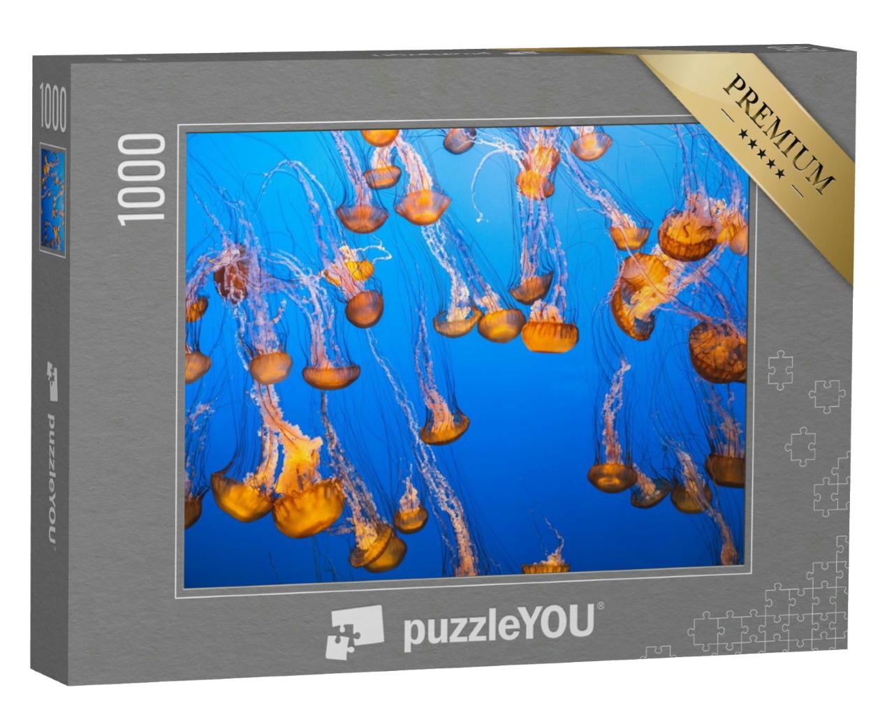 Puzzle 1000 Teile „Eine Gruppe von Quallen im lichtdurchfluteten Wasser“
