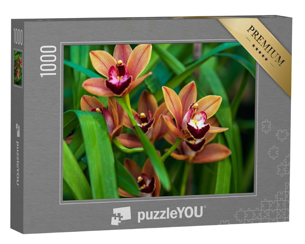 Puzzle 1000 Teile „: Cymbidium Burgundian Chateau Orchidee mit orange-braunen Blüten“