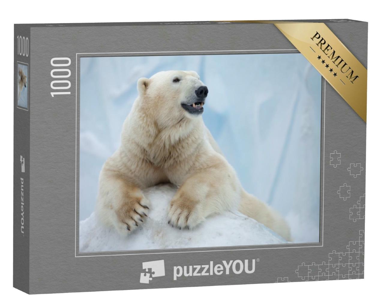 Puzzle 1000 Teile „Porträt eines großen weißen Bären auf Eis“