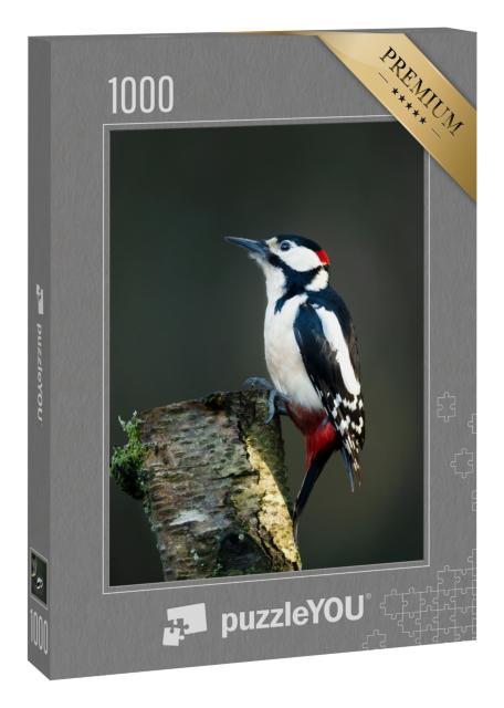 Puzzle 1000 Teile „Nahaufnahme eines Buntspechts auf einer bemoosten Birke“