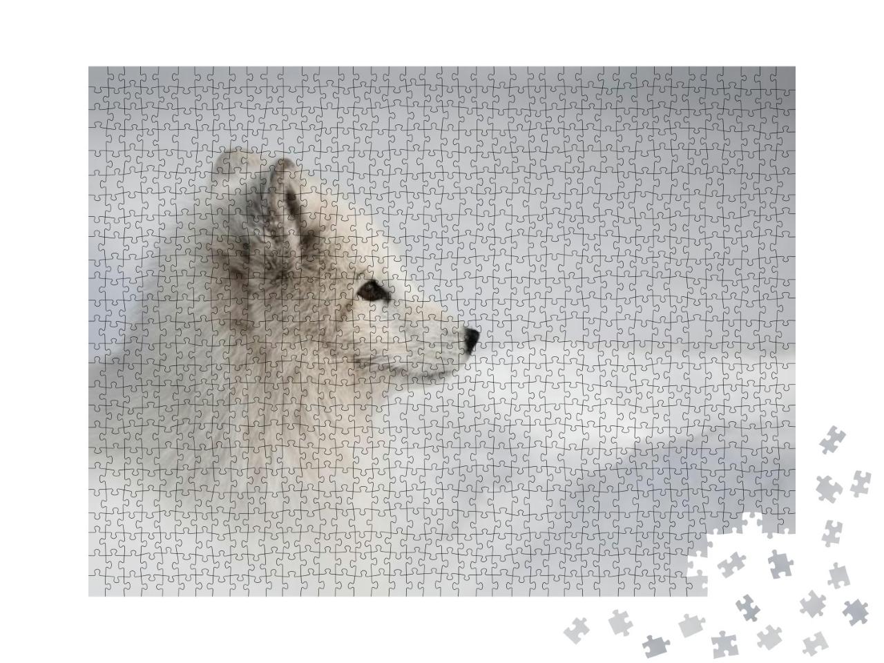 Puzzle 1000 Teile „Polarfuchsweibchen wagt sich aus ihrer Schneehöhle heraus“