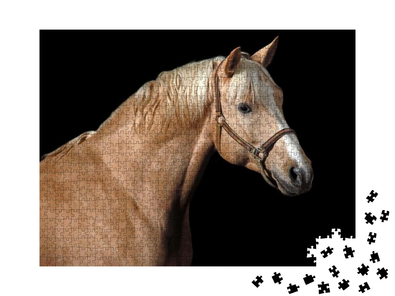 Puzzle 1000 Teile „Palomino Pferd“