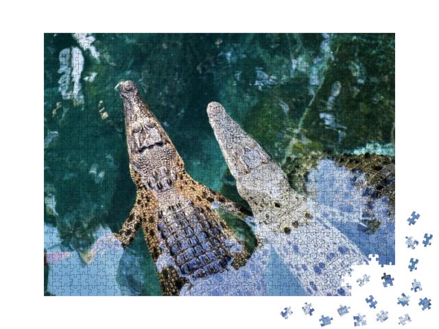 Puzzle 1000 Teile „Junge australische Krokodile in Darwin, Australien.“