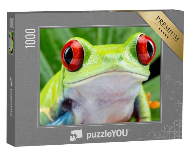Puzzle 1000 Teile „Nahaufnahme: Rotäugiger Laubfrosch“