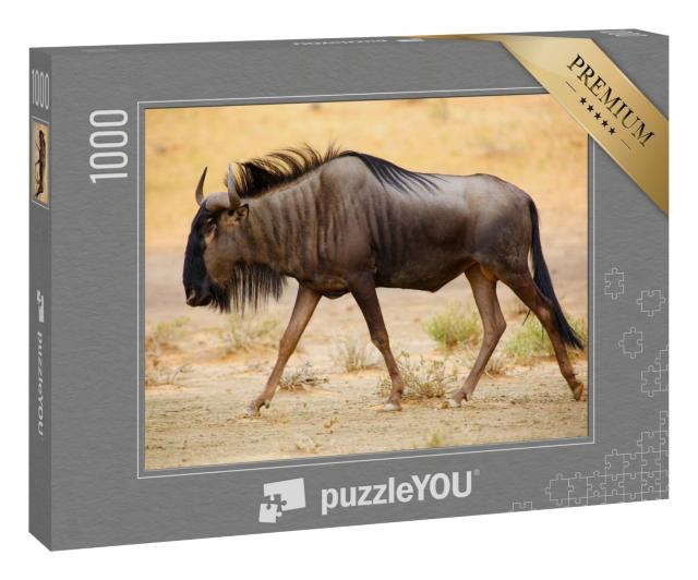 Puzzle 1000 Teile „Streifengnu in der Kalahari-Wüste“