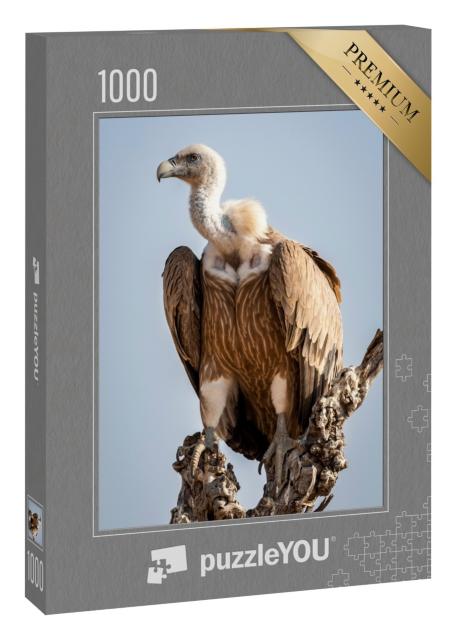 Puzzle 1000 Teile „Gänsegeier auf einem Baum im Nationalpark Jaisalmer Rajasthan, Indien“