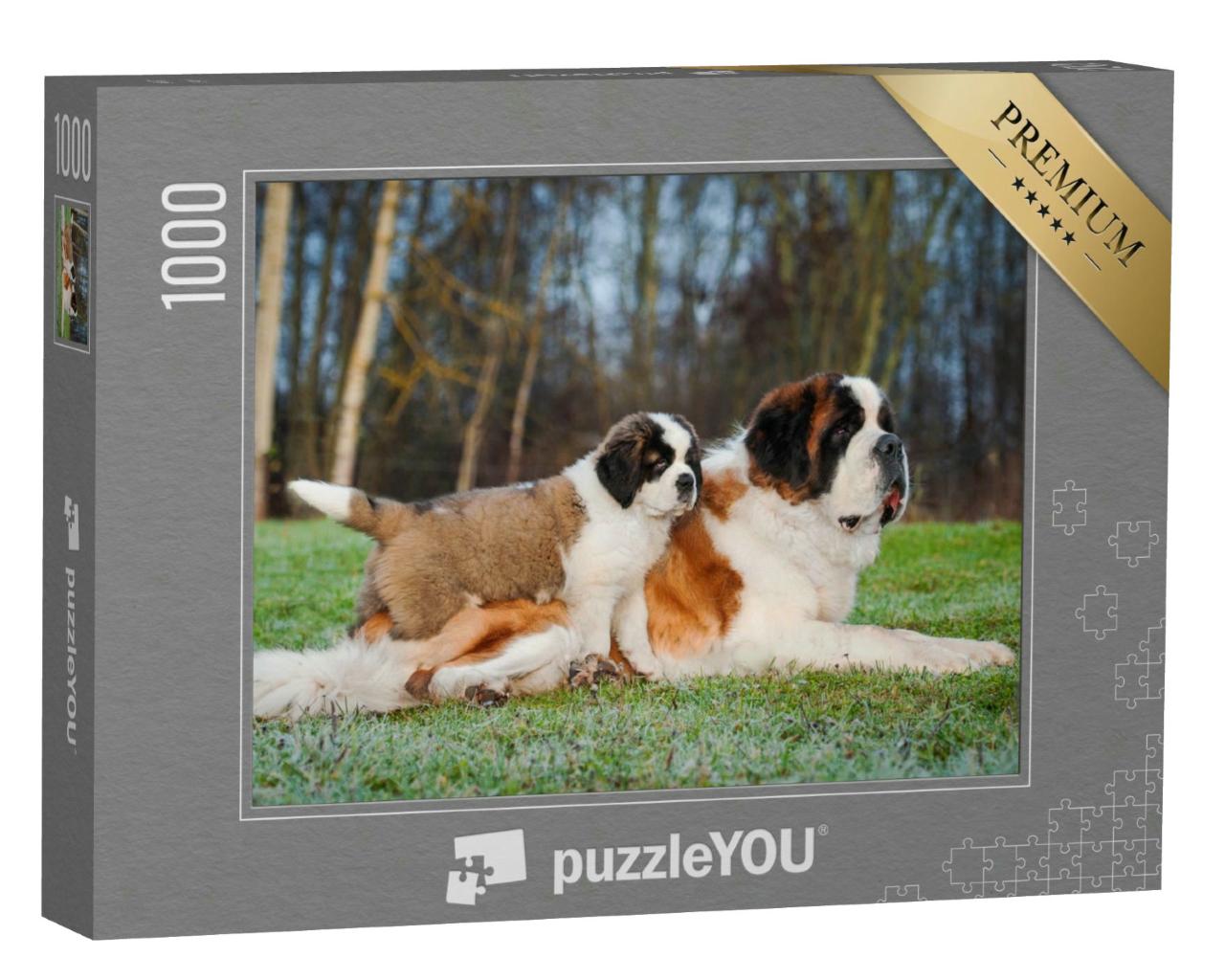Puzzle 1000 Teile „Erwachsene und junge Bernhardinerhunde“
