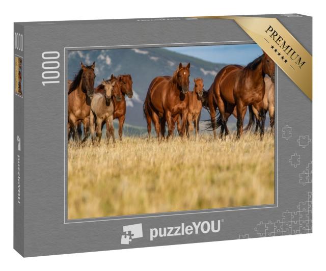 Puzzle 1000 Teile „Quarter Horse-Herde auf einer Grasebene vor den Pryor Mountains, Montana“