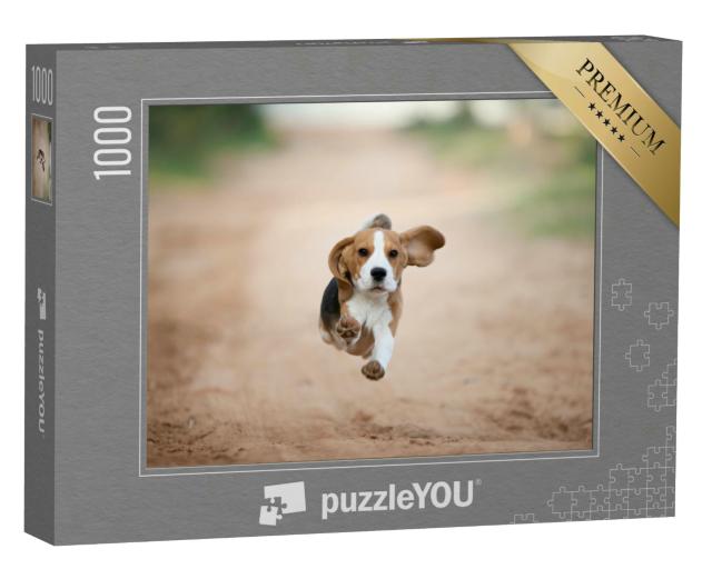 Puzzle 1000 Teile „Beagle-Welpe läuft glücklich im Hinterhof“