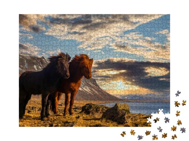 Puzzle 1000 Teile „Zwei Island-Pferde an der Küste im Sonnenuntergang“