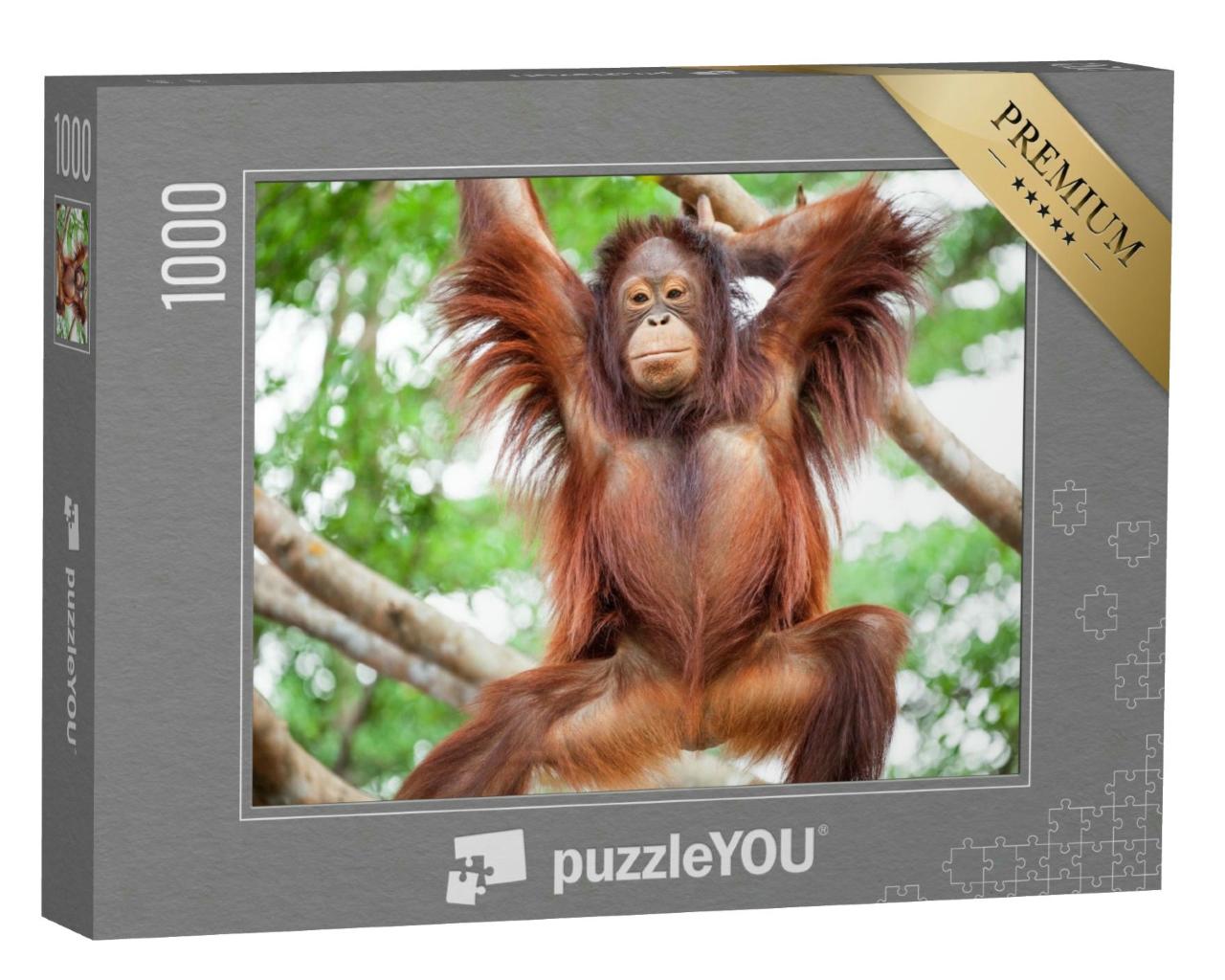 Puzzle 1000 Teile „Orang-Utan niedlich“