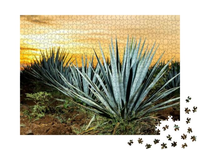 Puzzle 1000 Teile „equila-Plantage, Guadalajara, Mexiko“