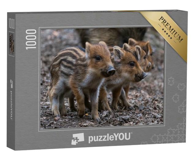 Puzzle 1000 Teile „Vier süße Frischlinge aneinandergereiht, Baby-Schweine in niedlicher Haltung“